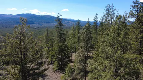 Nna Wolf Lodge Trail, Blanchard, ID 83804