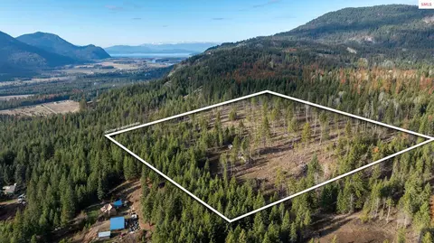 773 Cougar Loop, Clark Fork, ID 83811 photo 3