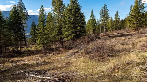 773 Cougar Loop, Clark Fork, ID 83811 photo 19