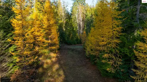 9816 Bottle Bay Rd, Sagle, ID 83860 photo 4