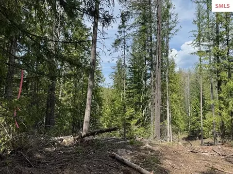 20 Raven Ridge Road, Sandpoint, ID 83864