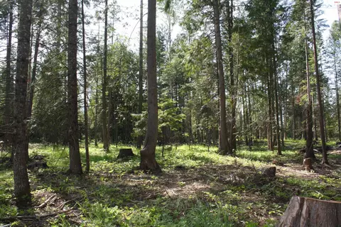 Nna River Lake Drive, Clark Fork, ID 83811