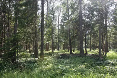 Nna River Lake Drive, Clark Fork, ID 83811
