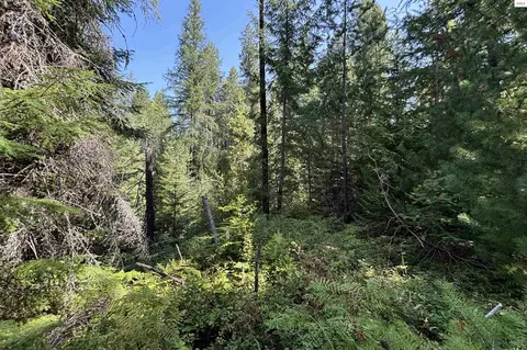Nna Ridge Way, Sandpoint, ID 83864