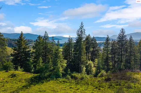 D11 White Cloud Drive, Sandpoint, ID 83864 photo 6