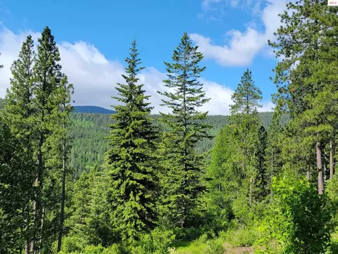 Nna Snowcat Lane Tract 2, Bonners Ferry, ID 83805