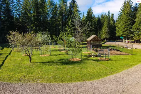 Exterior - 6693 River Rd, Clark Fork, ID 83811 photo 11 of 34
