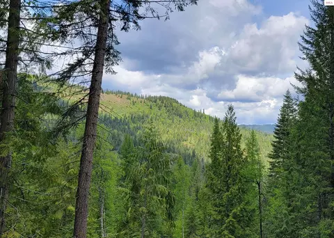 Nna Pup Paw Trail, Priest River, ID 83856