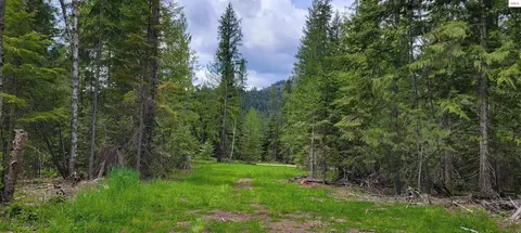 Nna Pup Paw Trail - North Parcel, Priest River, ID 83856