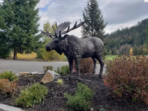 Nka White Cloud Dr, Sandpoint, ID 83864 photo 18