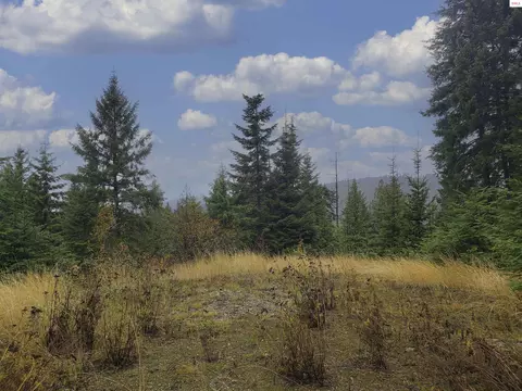 Nka White Cloud Dr, Sandpoint, ID 83864 photo 10