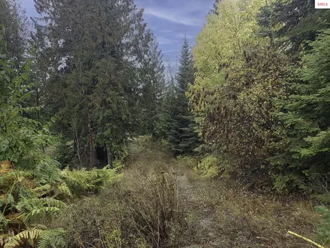 Nka White Cloud Dr, Sandpoint, ID 83864 photo 9