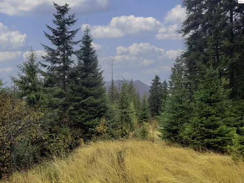 Nka White Cloud Dr, Sandpoint, ID 83864 photo 2