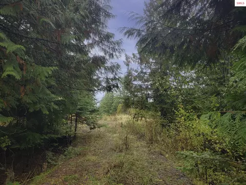 Nka White Cloud Dr, Sandpoint, ID 83864 photo 4