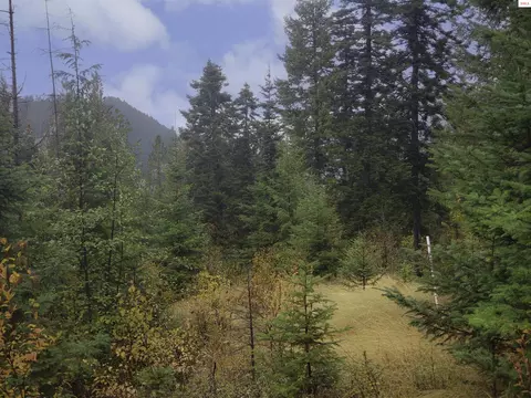 Nka White Cloud Dr, Sandpoint, ID 83864 photo 3