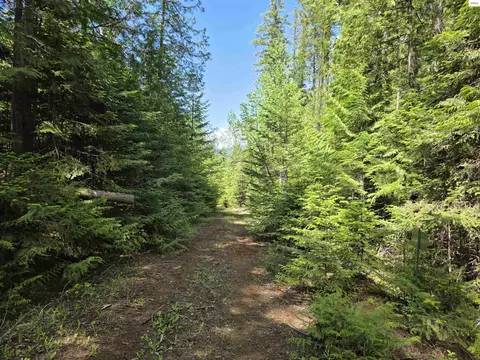 5784 River Rd, Clark Fork, ID 83811 photo 5