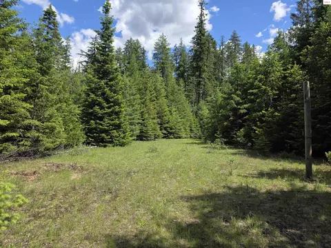 5784 River Rd, Clark Fork, ID 83811 photo 1
