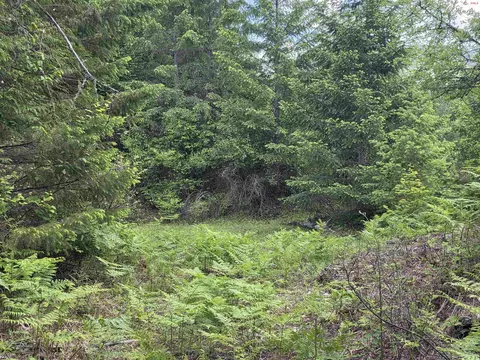 5784 River Rd, Clark Fork, ID 83811 photo 20