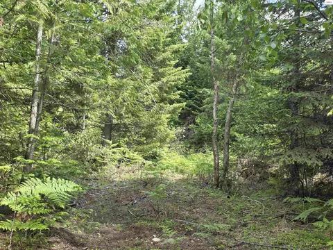 5784 River Rd, Clark Fork, ID 83811 photo 16