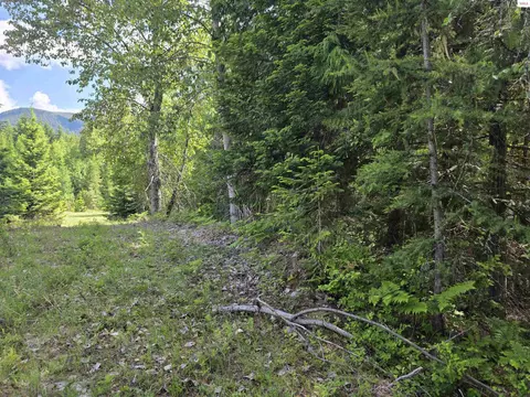 5784 River Rd, Clark Fork, ID 83811 photo 3