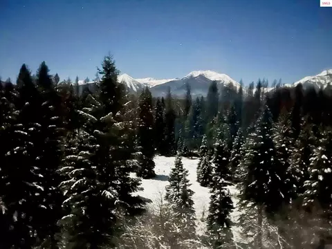 Other - 164 Snowflake Ln, Libby, MT 59923 photo 1 of 10