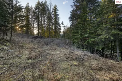 Nna White Cloud, Sandpoint, ID 83864 photo 2