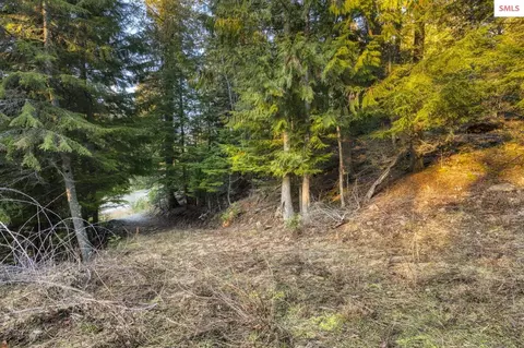 Nna White Cloud, Sandpoint, ID 83864 photo 3