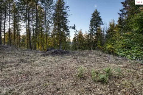 Nna White Cloud, Sandpoint, ID 83864