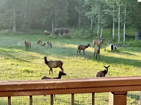 Other - 265 Little Thunder Rd, Sandpoint, ID 83864 photo 3 of 23