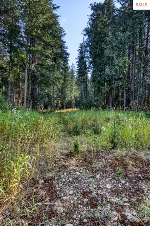 6529 Rapid Lightning Rd, Sandpoint, ID 83864 photo 19