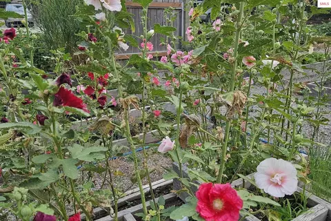 Other - 1861 Samuels Rd, Sandpoint, ID 83864 photo 30 of 34