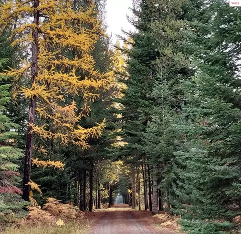 Other - 249 Indigo Sky Rd, Sandpoint, ID 83864 photo 27 of 32