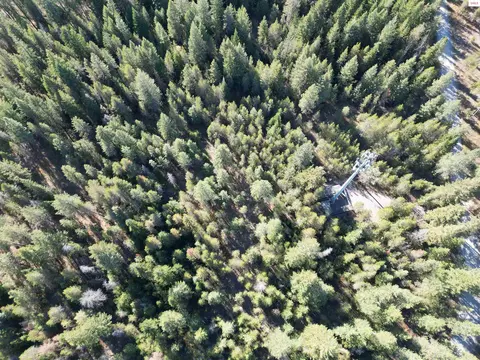 Nna Gray Eagle, Rathdrum, ID 83858 photo 7