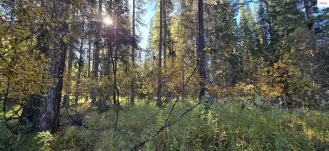 1057 Tamarack Ln, Yaak, MT 59935