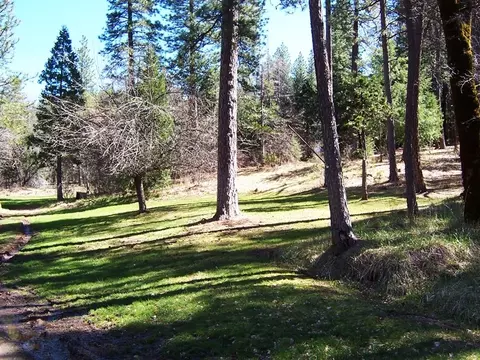 30876 Withrow Rd, Shingletown, CA 96088 photo 15