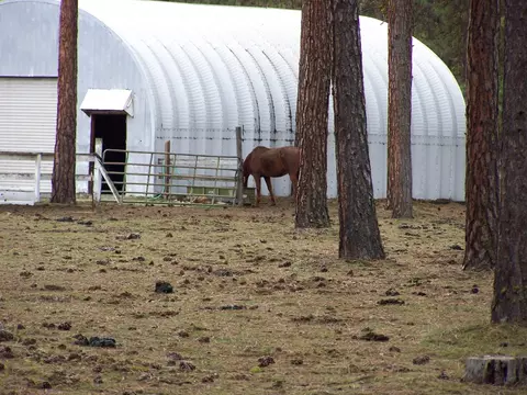 45183 Hwy 299 E, Mcarthur, CA 96056 photo 2