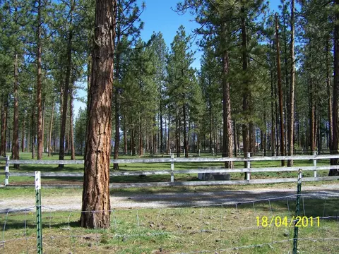 45183 Hwy 299 E, Mcarthur, CA 96056 photo 7