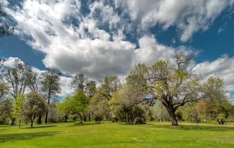 6050 Placer Rd, Igo, CA 96047 photo 3