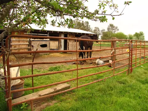 7741 Dewig Ave, Gerber, CA 96035 photo 13