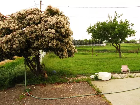 7741 Dewig Ave, Gerber, CA 96035 photo 29
