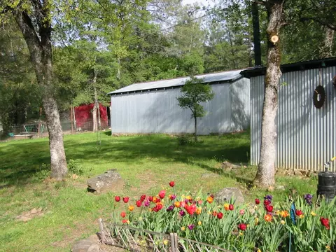 16985 Buzzard Roost Rd, Round Mountain, CA 96084 photo 4