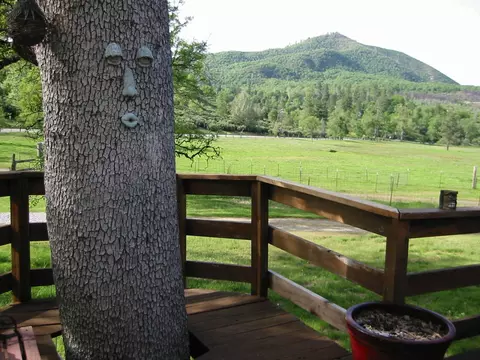 16985 Buzzard Roost Rd, Round Mountain, CA 96084 photo 7