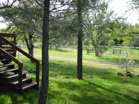 16985 Buzzard Roost Rd, Round Mountain, CA 96084 photo 6