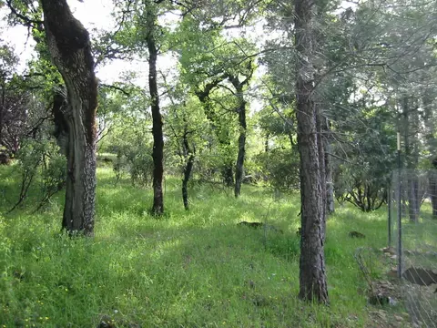 16985 Buzzard Roost Rd, Round Mountain, CA 96084 photo 13