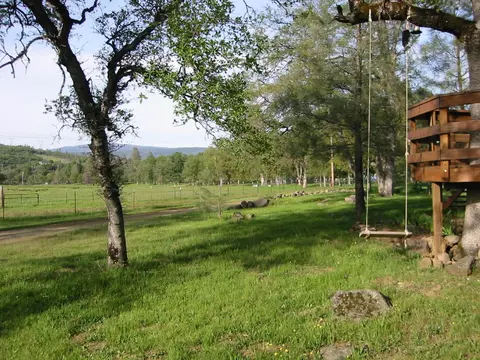 16985 Buzzard Roost Rd, Round Mountain, CA 96084 photo 22