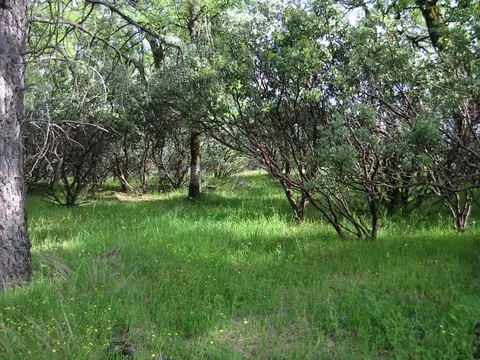 16985 Buzzard Roost Rd, Round Mountain, CA 96084 photo 12