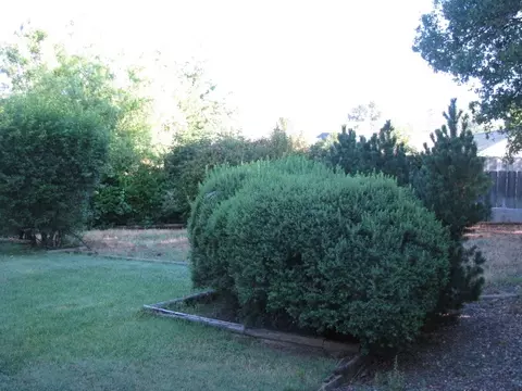 1816 Tiburon, Redding, CA 96002 photo 12