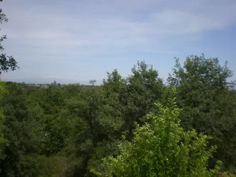 1187 Golden Gate Trl, Redding, CA 96003 photo 26