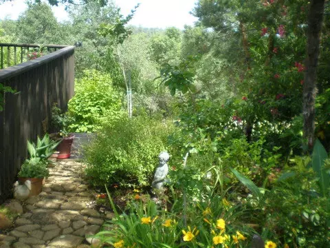 1187 Golden Gate Trl, Redding, CA 96003 photo 22
