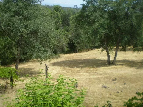 1187 Golden Gate Trl, Redding, CA 96003 photo 23